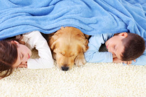 kids and dog asleep under blanket