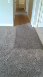 hall carpet before